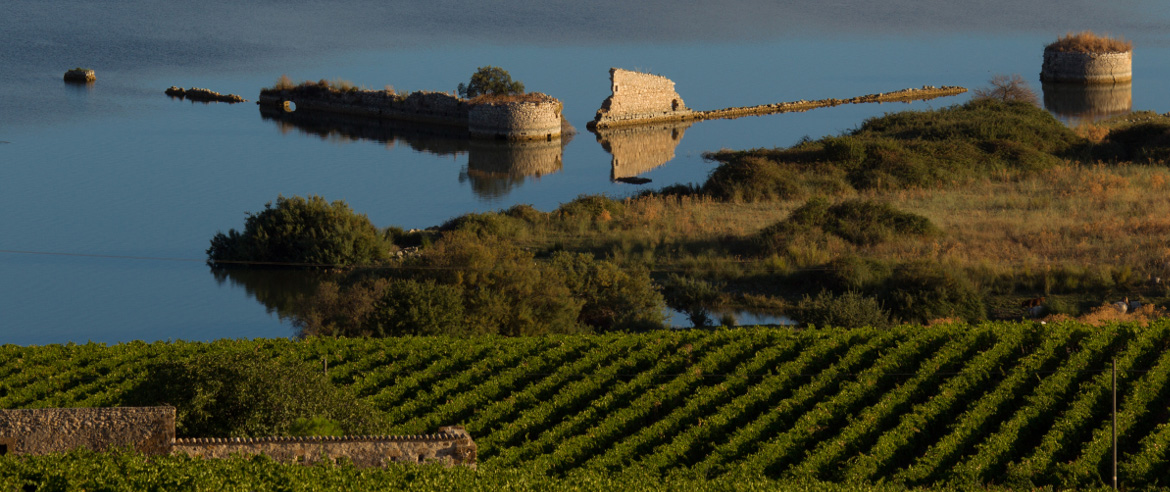 Le Cerasuolo di Vittoria